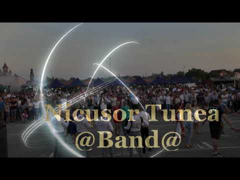 Luci Ladariu  &  Nicusor Tunea Band // RUGA DE LA LOVRIN // 29.06.2019 //
