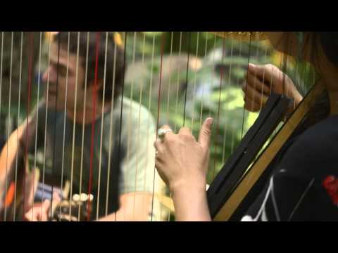 Come In The Water - The Barr Brothers