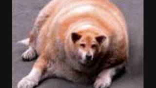 re edited (bucket of shoes in my foyer)