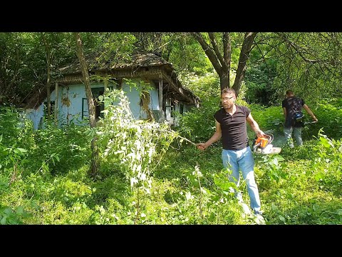 Ziua 1 ! Curatim curtea si tăiem copaci!