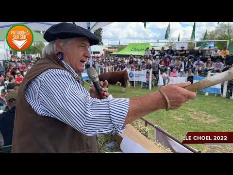 10 Expo Nac. Hereford Patagónica (DÍA TRES) - REMATE.