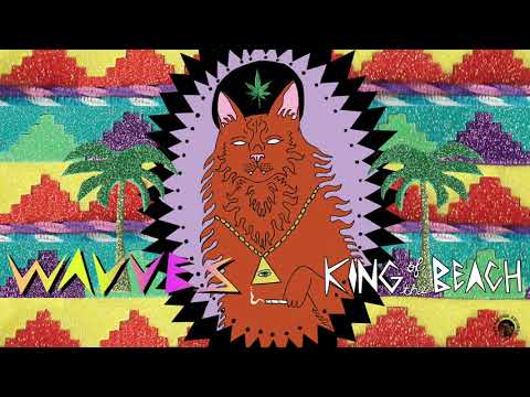 Wavves - King of the Beach (Full Album Stream)