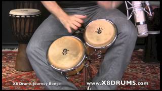 X8 Drums Journey Series Bongo Drums, Natural with Buffalo Heads