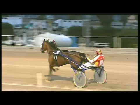 Trotto 02/02/2020 - 6ª corsa