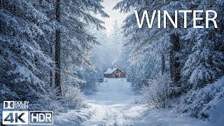 11 HOURS WINTER MAGIC 4K ❄️ Snowfall - Scenic Relaxation Film With Inspiring Cinematic Music