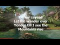 Don't Fence Me In by Roy Rogers (with lyrics)