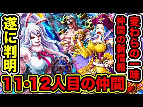 ワンピース 麦わらの一味11人目 12人目の仲間がビブルカードで判明 麦わら海賊団10人目 11人目 12人目の仲間全員紹介 13人目考察 One Piece考察 Youtuberandom ワンピース 麦わらの一味11人目 12人目の仲間がビブルカードで判明 麦わら海賊団10人目 11人目 12人目の仲間全員紹介 13人目考察 One Piece考察 Youtuberandom