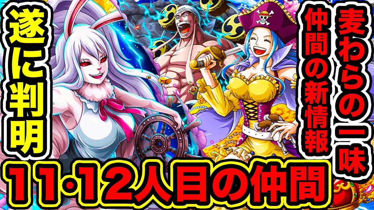 ワンピース 麦わらの一味11人目 12人目の仲間がビブルカードで判明 麦わら海賊団10人目 11人目 12人目の仲間全員紹介 13人目考察 One Piece考察 Youtuberandom