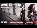 Andain - What It's Like (David Gravell Remix ...