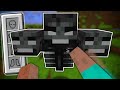 I Beat The Wither With NOTHING But My FIST