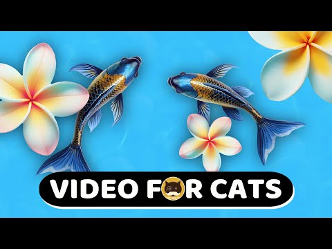CAT GAMES - Catching Fish! Video for Cats | CAT TV | 1 Hour. - YouTube