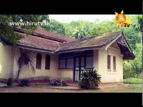 Hiru TV