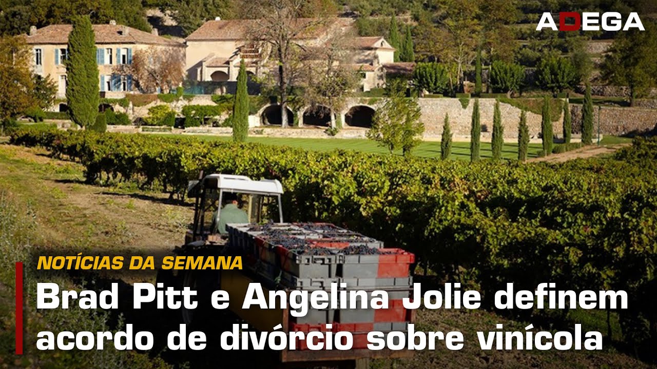 ACORDO no CASO da VINÍCOLA de BRAD PITT e ANGELINA JOLIE & DESVIO MILIONÁRIO em VINÍCOLA de COPPOLA