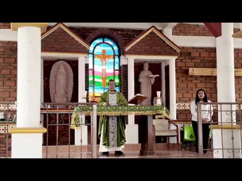 🌿🙏🕊️ CELEBRACIÓN EUCARÍSTICA Domingo 20 de septiembre de 2026 XXV Domingo del Tiempo Ordinario