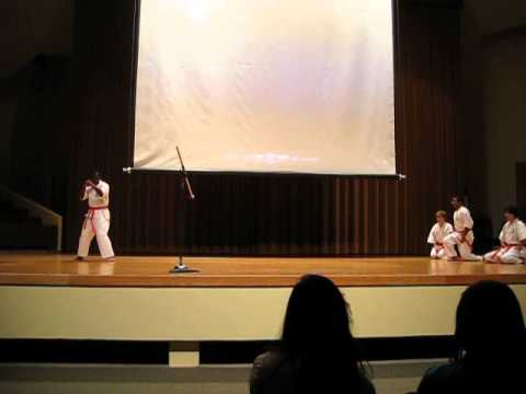 Kyokushin Karate Performance