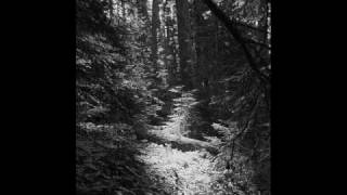 Carpathian Forest - The Last Sigh of Nostalgia