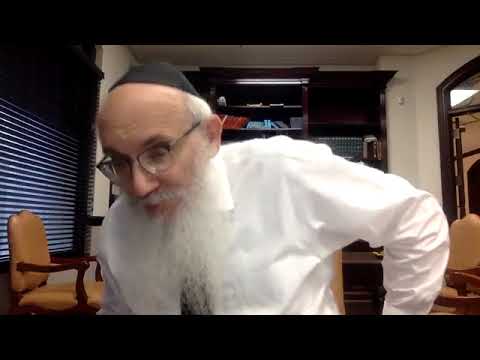 Tanya Chapter 29 Part 1 - Rabbi Yisroel Spalter