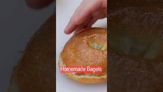 Homemade Bagels Recipe
