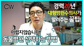 대형동물병원 수의사가 알려주는 동물병원 선택하는 방법!