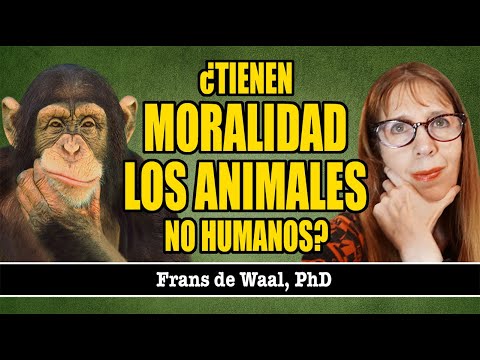 EL ANIMAL MAS INÚTIL 😣 #awawa #marmota #memes #humor animales #comedia #funny