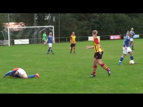 VIOD VR1 -  Ter Leede VR2