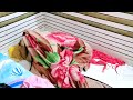 Aaj Nind Nahi Aayegi Couple Vlogs Romantic Vlogs Masti Vlogs