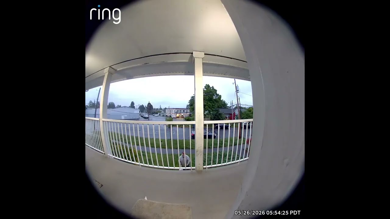 Lazy Driver Keeps Trying to Toss Delivery Over Railing || ViralHog