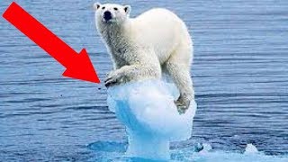 8 Negative Effects of Climate Change