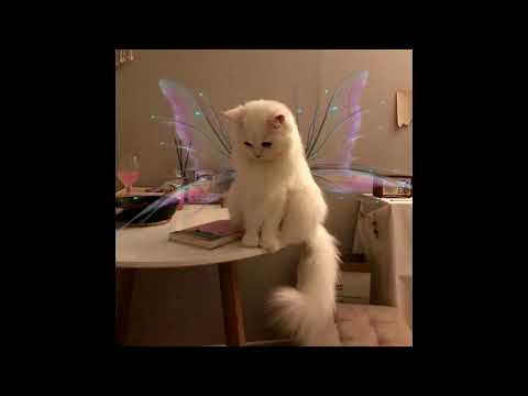 FREE | Bladee x Ecco2k x Drain Gang hyperpop type beat "translucent"  [prod. branwen]