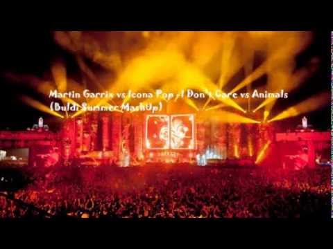 Martin Garrix vs Icona Pop  I Don't Care vs Animals (Buldi Summer MashUp)