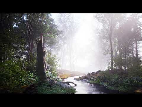 Unreal Engine 4 / UE4 :: RTX Nature Study :: Misty Forest River #1 :: Finn Meinert Matthiesen