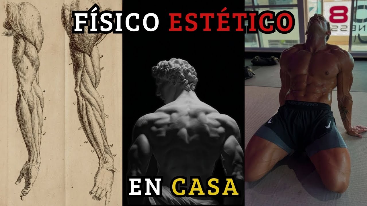 Cómo construir un físico estético sin salir de casa (GUÍA)