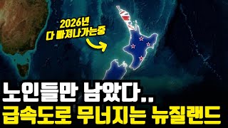 "젊은 인구 다 빠지는중.." 2026년 뉴질랜드가 급속도로 무너지는 이유
