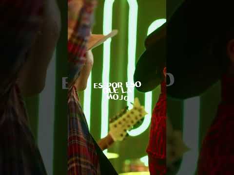 Las Heladas @GrupoFirmeOficial x @lostucanesdetj y su amigo Tapy Quintero