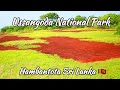Ussangoda National Park Hambantota Sri Lanka
