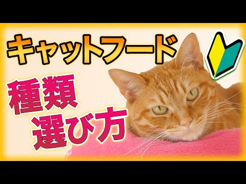 Catit キャットフードの分析 - 成分、種類、価格
