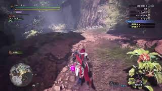 [MHW:IB] 俺はまだ未熟、導きの地に籠って武者修行だ！