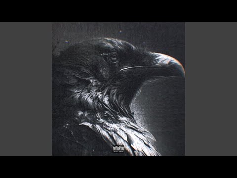 Not This Time Around