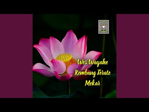 Wes Wayahe Kembang Terate Mekar (feat. Psht Sedati)