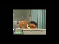 Sesame Street Rubber Duck In Sped Up