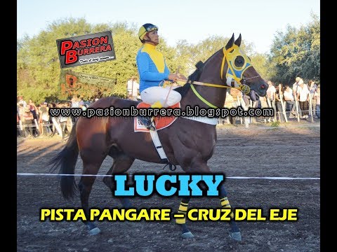 LUCKY, Pista Pangare - Cruz del Eje (07-04-19)