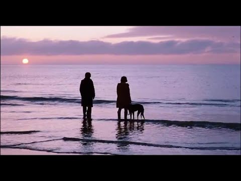 The Vines - True As The night (Music Video) 2023