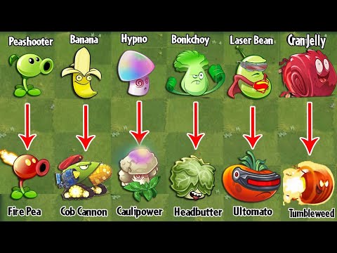 PvZ 2 Discovery - Every Plants Evolution NOOB - PRO Version