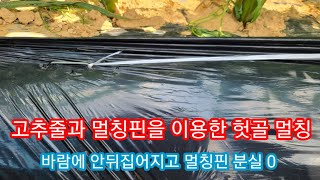 고추줄과 멀칭핀을 이용한 기막힌 헛골 멀칭  부직포 제초매트 사용방법