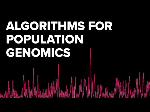 BCB Lightning Talk: Martyna Lukaszewicz