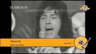 Chicory Tip What&#39;s Your Name?