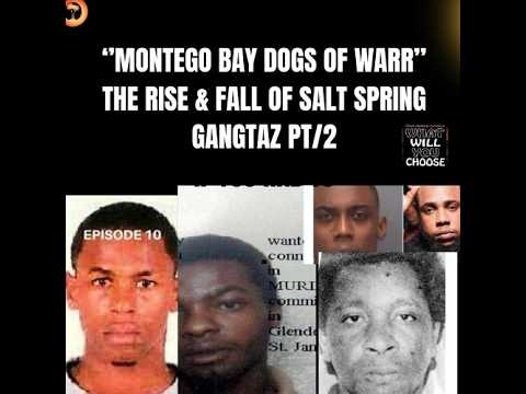 SALT SPRING DOGS OF WARR PT/2 SHAKA HEAD GET HIM  BUSS OVA TEIFIN COCO & A MOUNTAIN A SKULL PILE UP 