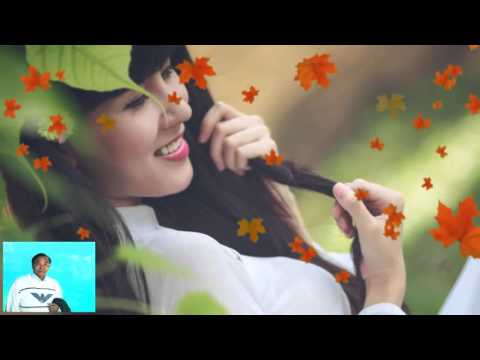 Lá rơi cuối chiều - Mỹ Lệ