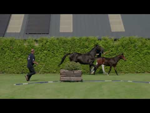 presentation day VALUABLE PLEASURE W