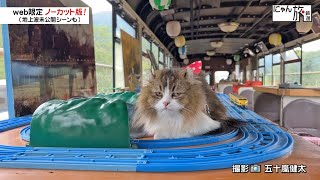 Vol.218「にゃん旅鉄道」不思議な世界だにゃ…